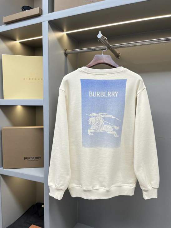 Picture of Burberry Sweatshirt _SKUBurberryS-2XLaztx875831010